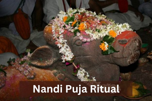 Nandi Puja Ritual