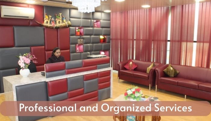 Professional and Organized Services