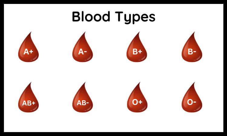 does-blood-group-matter-in-marriage-wedgate-matrimony